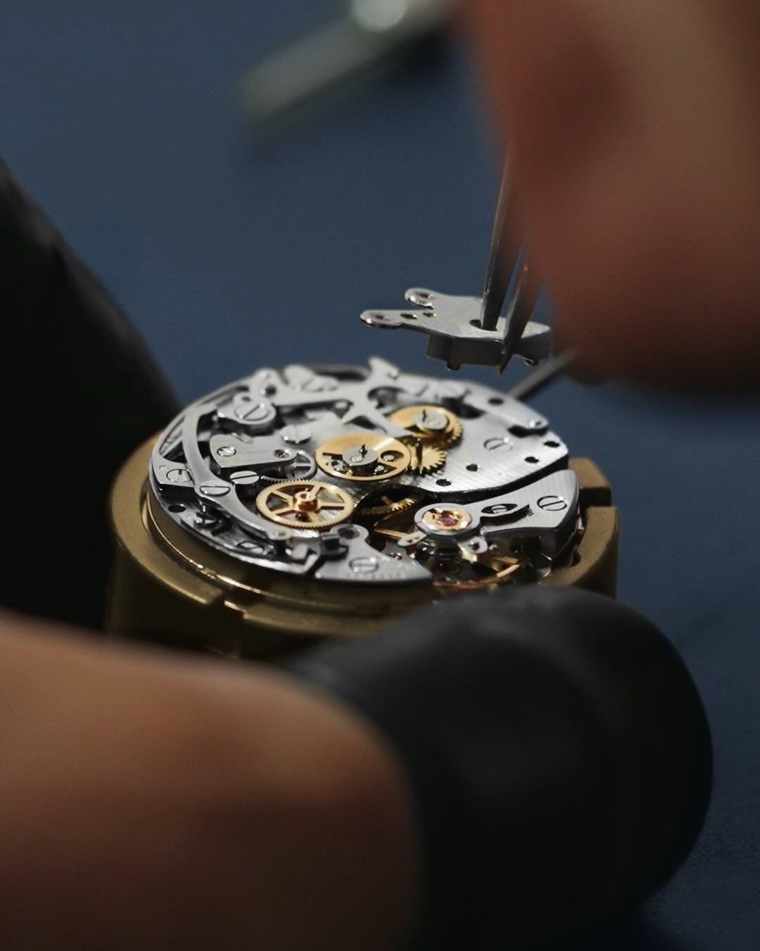 Fine jewelry and personalized service at Jewelry Design Galleria
